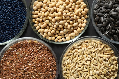 Photo of Petri dishes with treated seeds on table, flat lay. Laboratory analysis