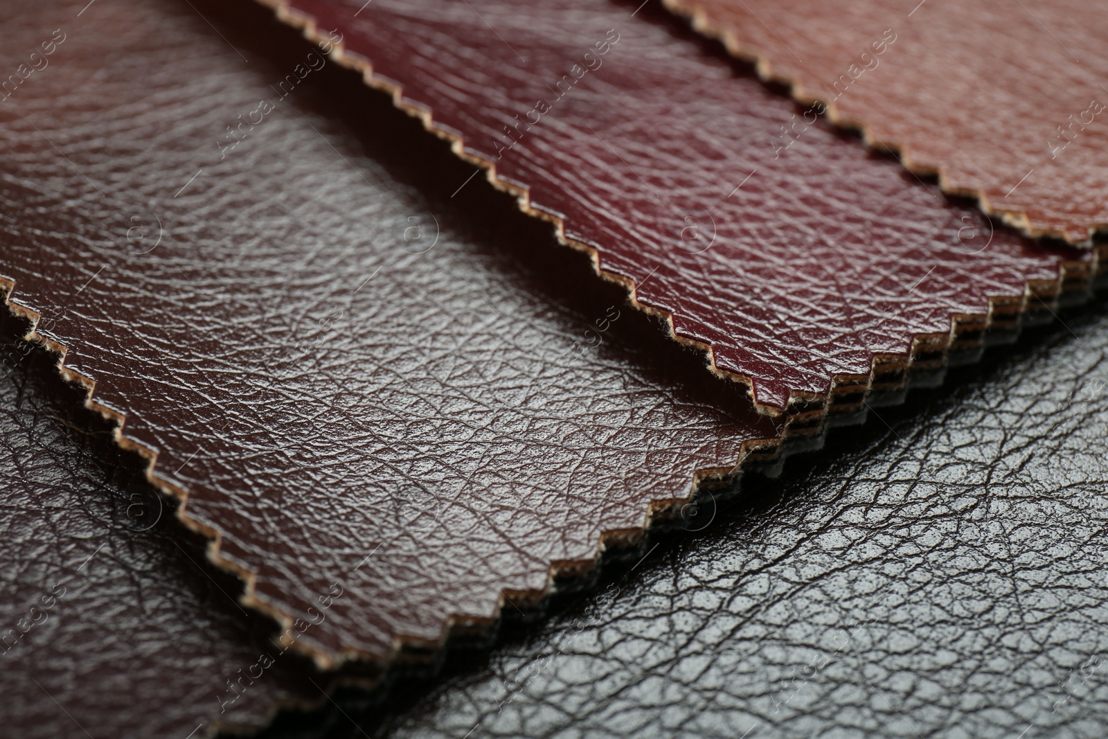 Photo of Texture of different leather as background, closeup