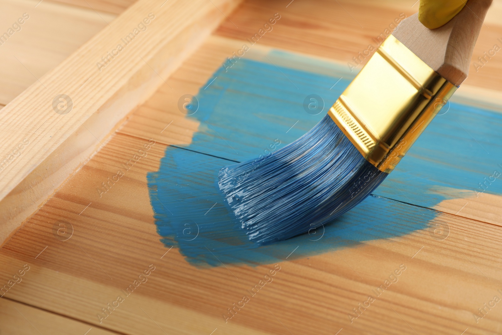 Photo of Worker applying blue paint onto wooden surface, closeup