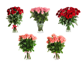 Image of Set with beautiful rose flowers on white background
