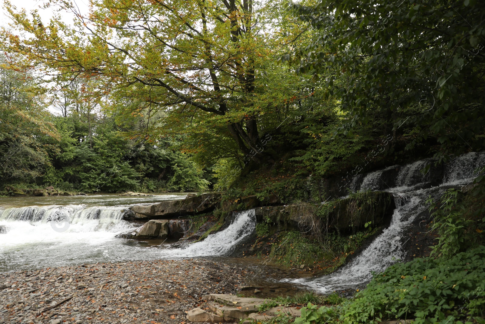 Photo of Picturesque view of beautiful river flowing near forest