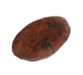 Photo of Brown raw cocoa bean isolated on white