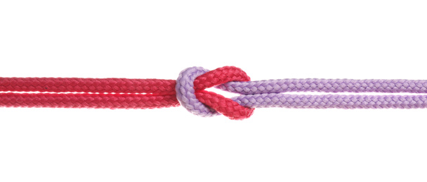 Colorful ropes tied together with knot isolated on white. Unity concept