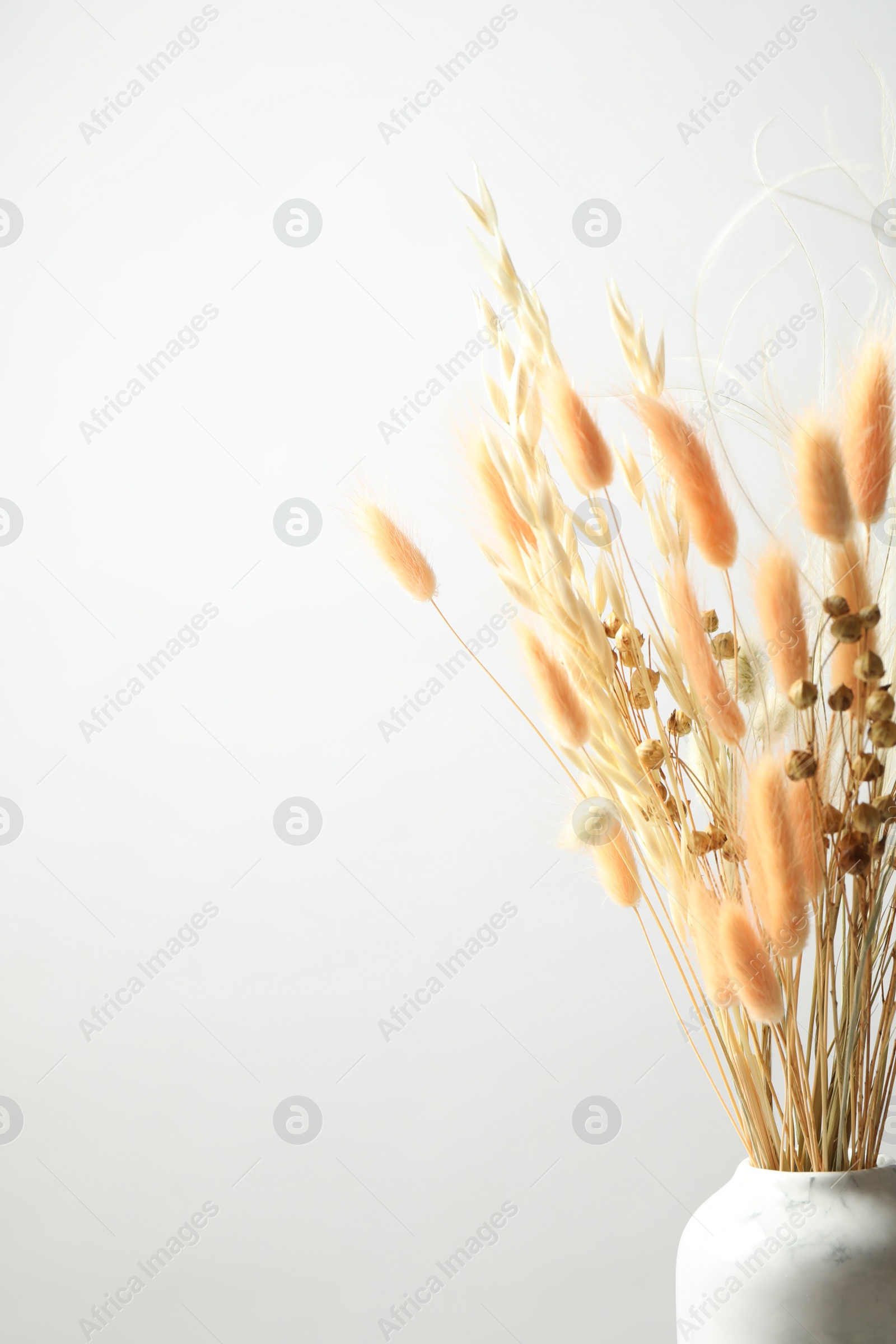 Photo of Dried flowers in vase against light background