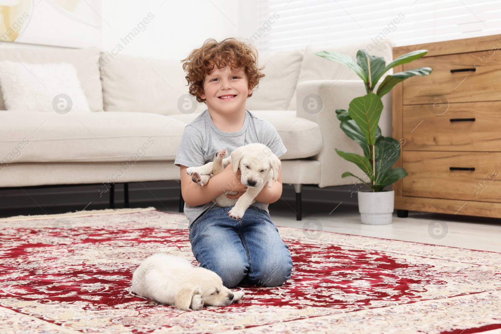 Photo of Little boy with cute puppies on carpet at home