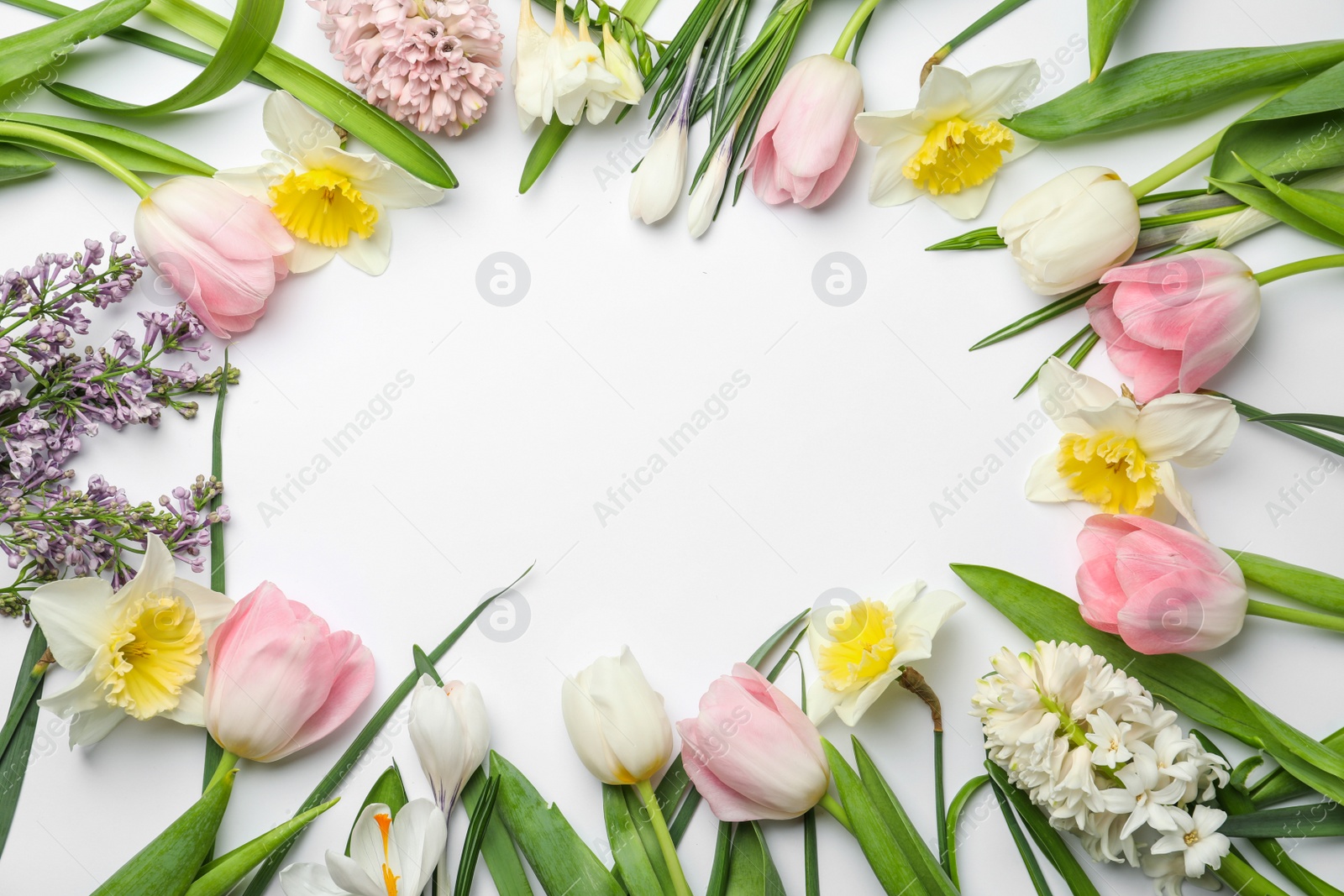 Photo of Frame made of spring flowers on white background, top view with space for text