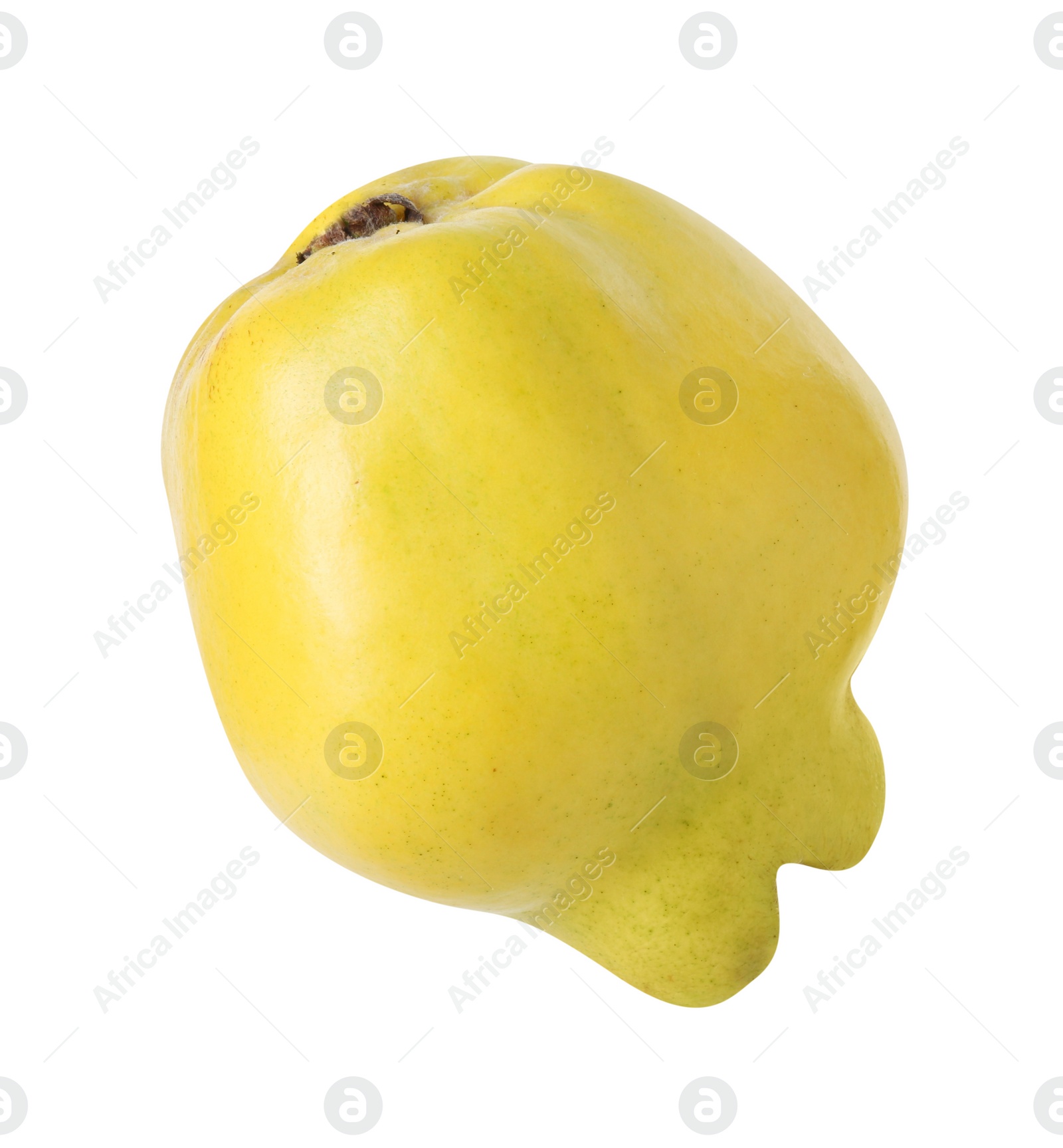 Photo of Delicious fresh ripe quince isolated on white