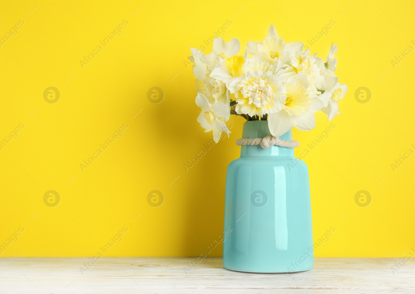 Photo of Bouquet of daffodils in vase on table against color background, space for text. Fresh spring flowers