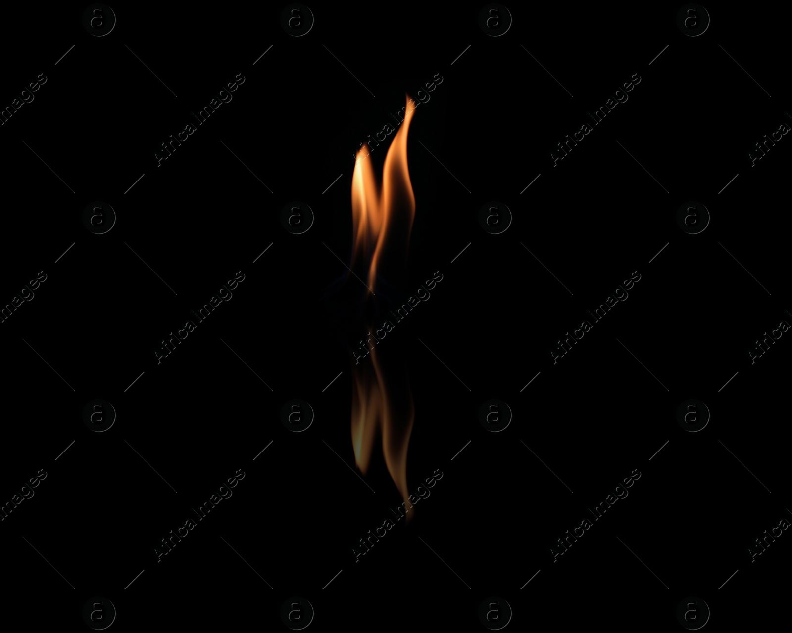 Photo of Beautiful bright fire flames on black background