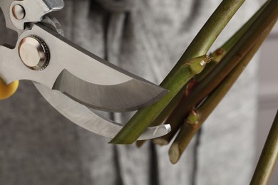 Photo of Cutting stems of flowers with pruner, closeup. Florist occupation