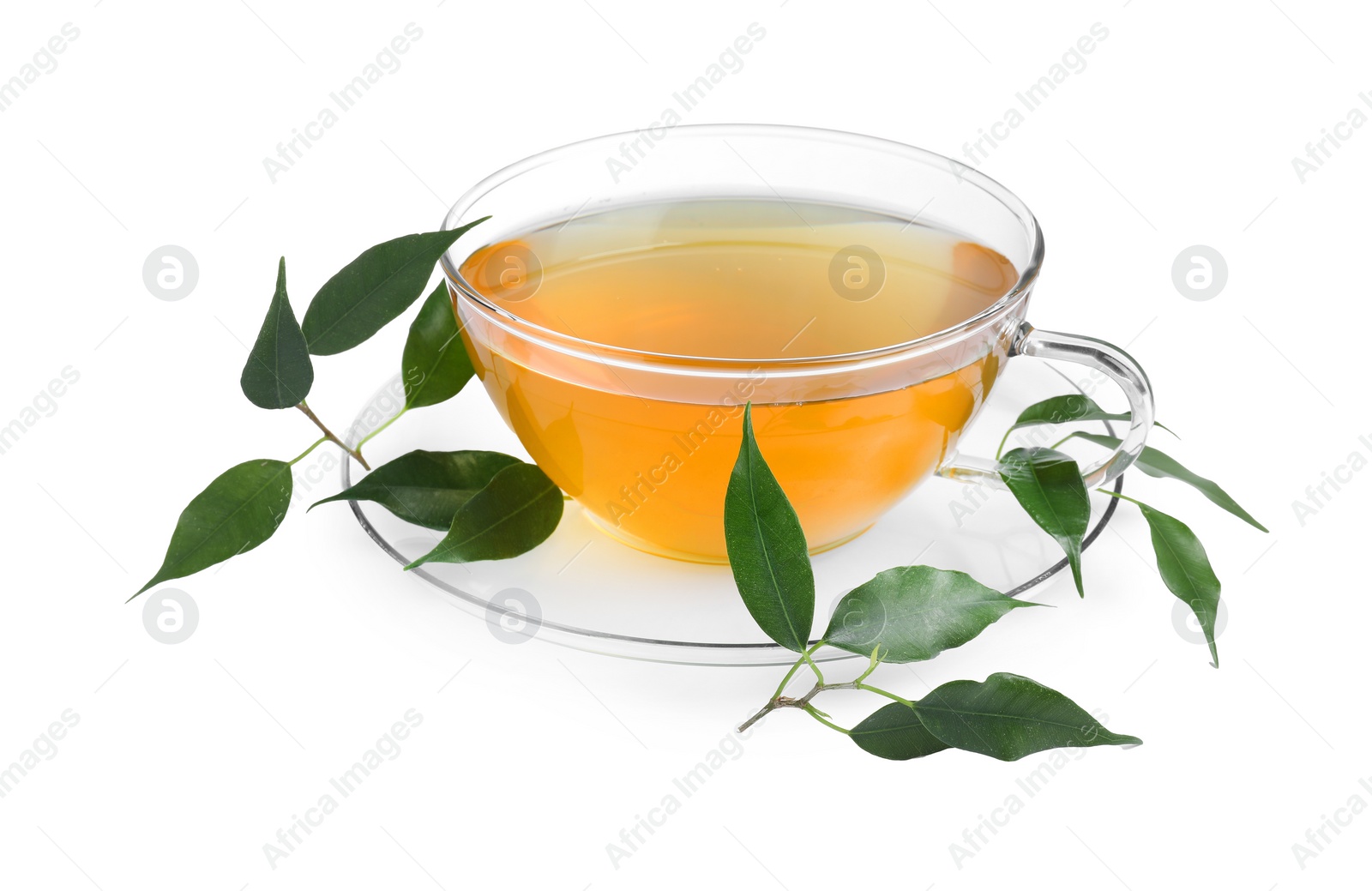 Photo of Fresh green tea in glass cup, leaves and saucer isolated on white