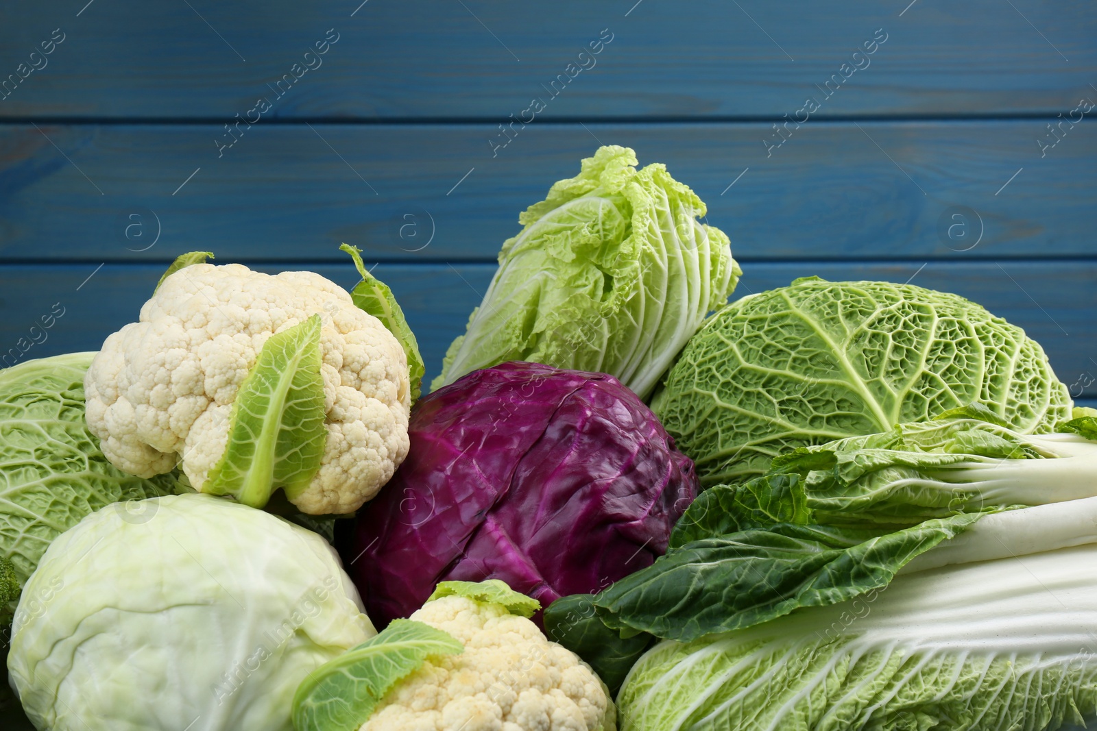 Photo of Many different fresh cabbages on blue wooden table