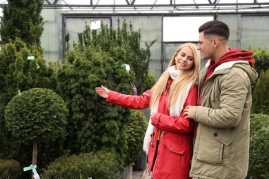 Photo of Couple choosing Christmas tree at market outdoors