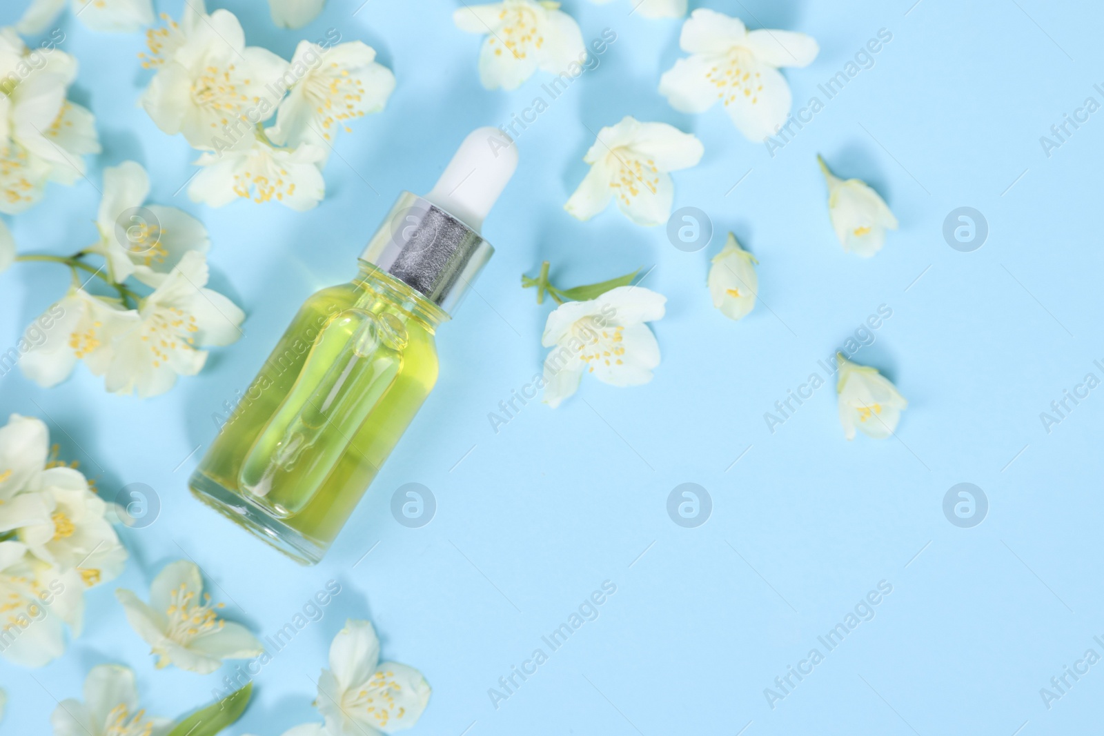 Photo of Essential oil in bottle and beautiful jasmine flowers on light blue background, flat lay. Space for text