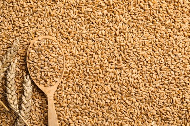 Photo of Spoon and spikelets on heap of wheat grains, flat lay. Space for text