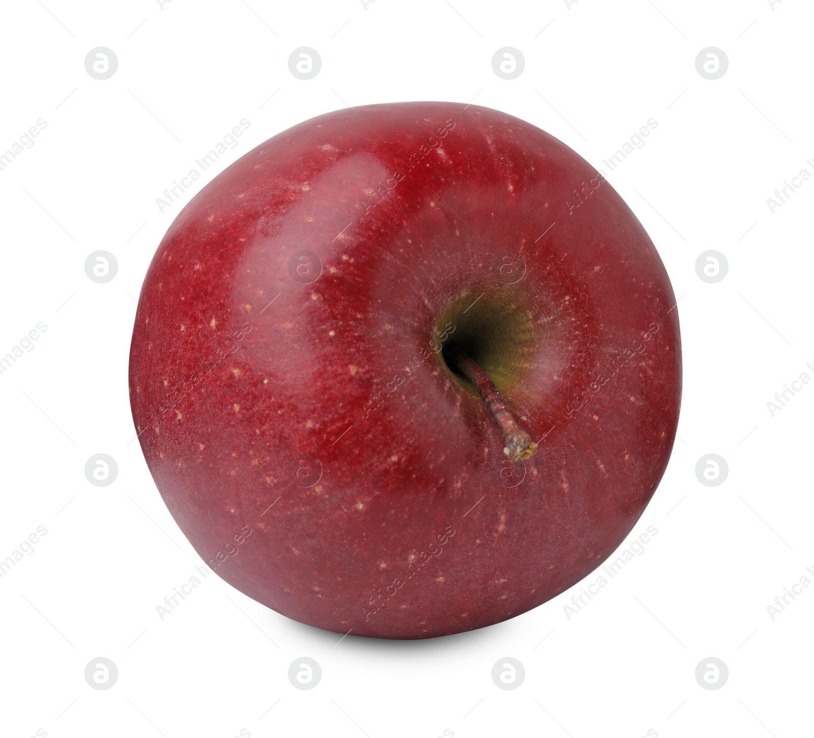 Photo of Whole ripe red apple isolated on white