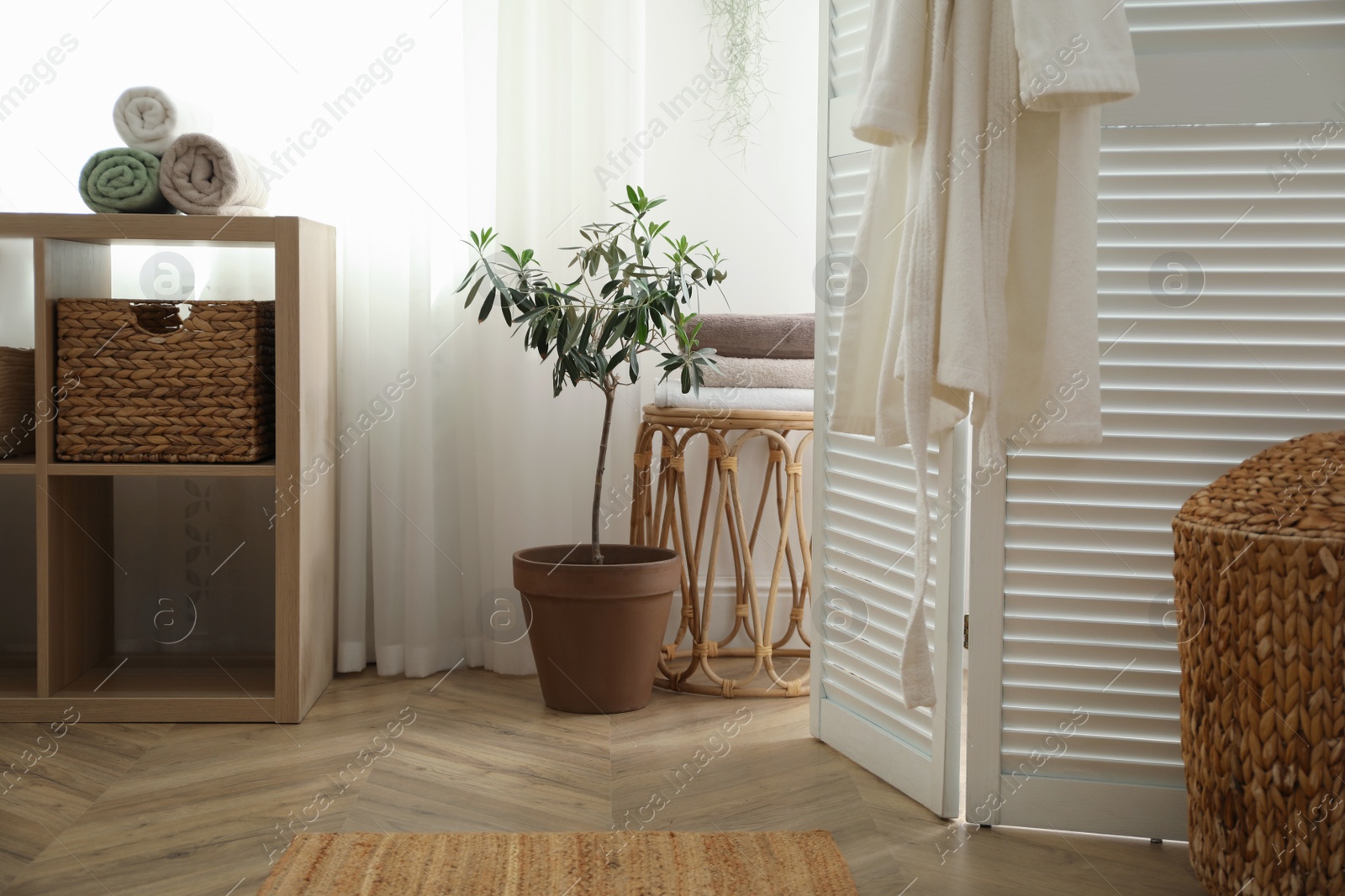 Photo of Beautiful room interior with potted houseplant near window