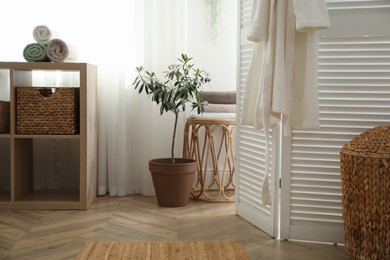 Photo of Beautiful room interior with potted houseplant near window