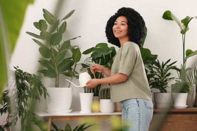 Happy woman watering beautiful potted houseplants indoors