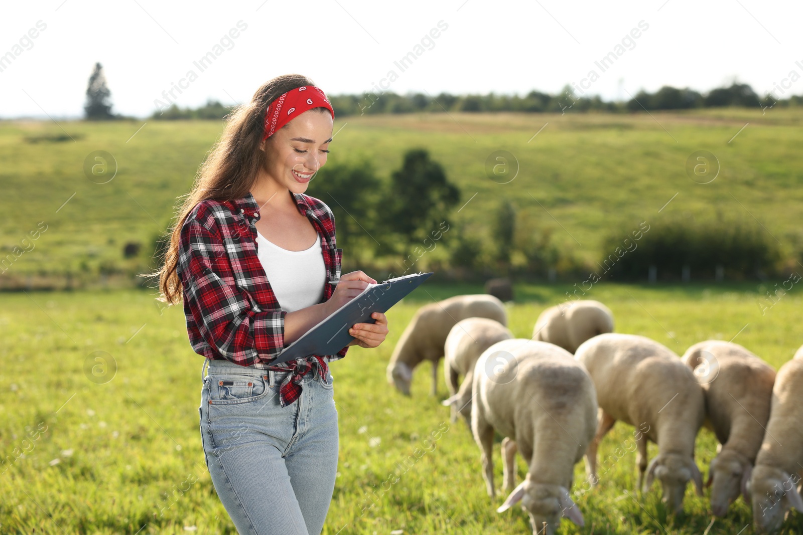 Photo of Smiling woman with clipboard writing notes on pasture at farm