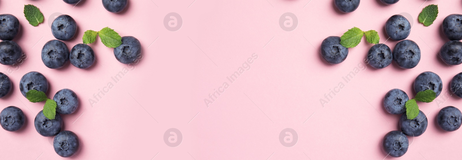 Image of Tasty fresh blueberries on pink background, flat lay with space for text. Banner design