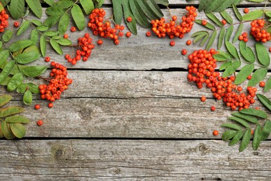 Photo of Fresh ripe rowan berries and green leaves on wooden table, flat lay. Space for text