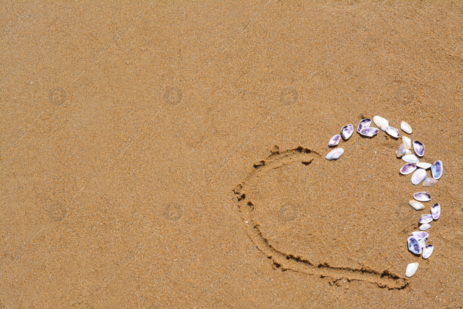 Photo of Heart made with beautiful sea shells on wet sand. Space for text
