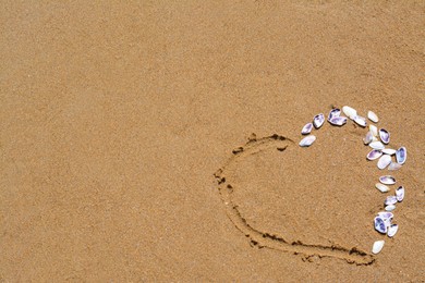 Photo of Heart made with beautiful sea shells on wet sand. Space for text