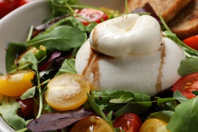 Photo of Delicious burrata salad with colorful cherry tomatoes and arugula in bowl, closeup