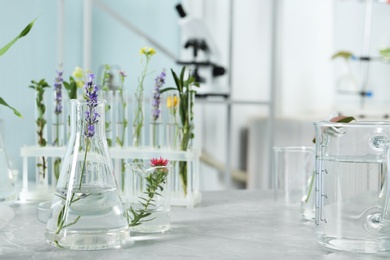 Laboratory glassware with different plants on table indoors