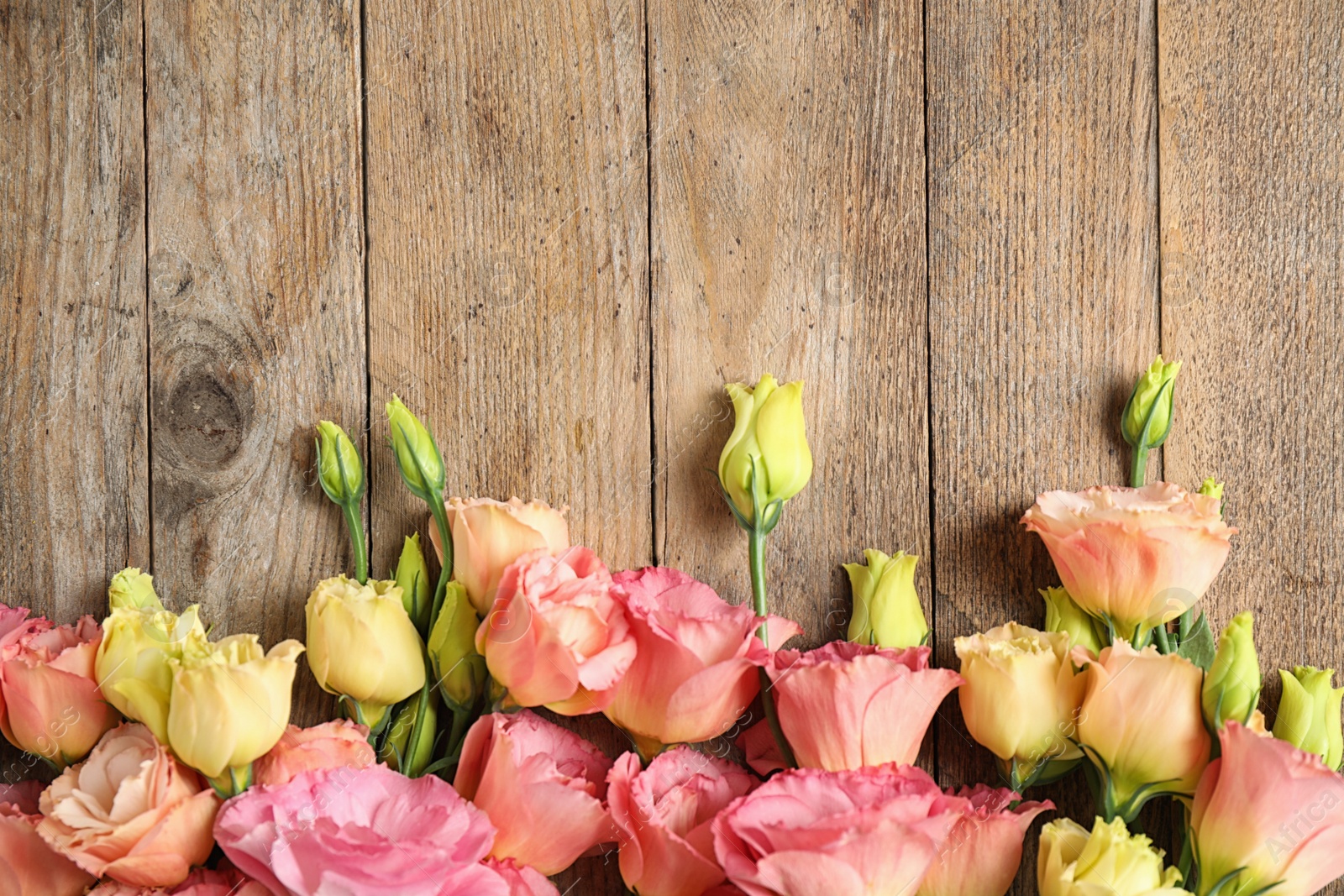 Photo of Flat lay composition with beautiful Eustoma flowers on wooden table, space for text