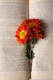 Photo of Book with chrysanthemum flowers as bookmark, top view