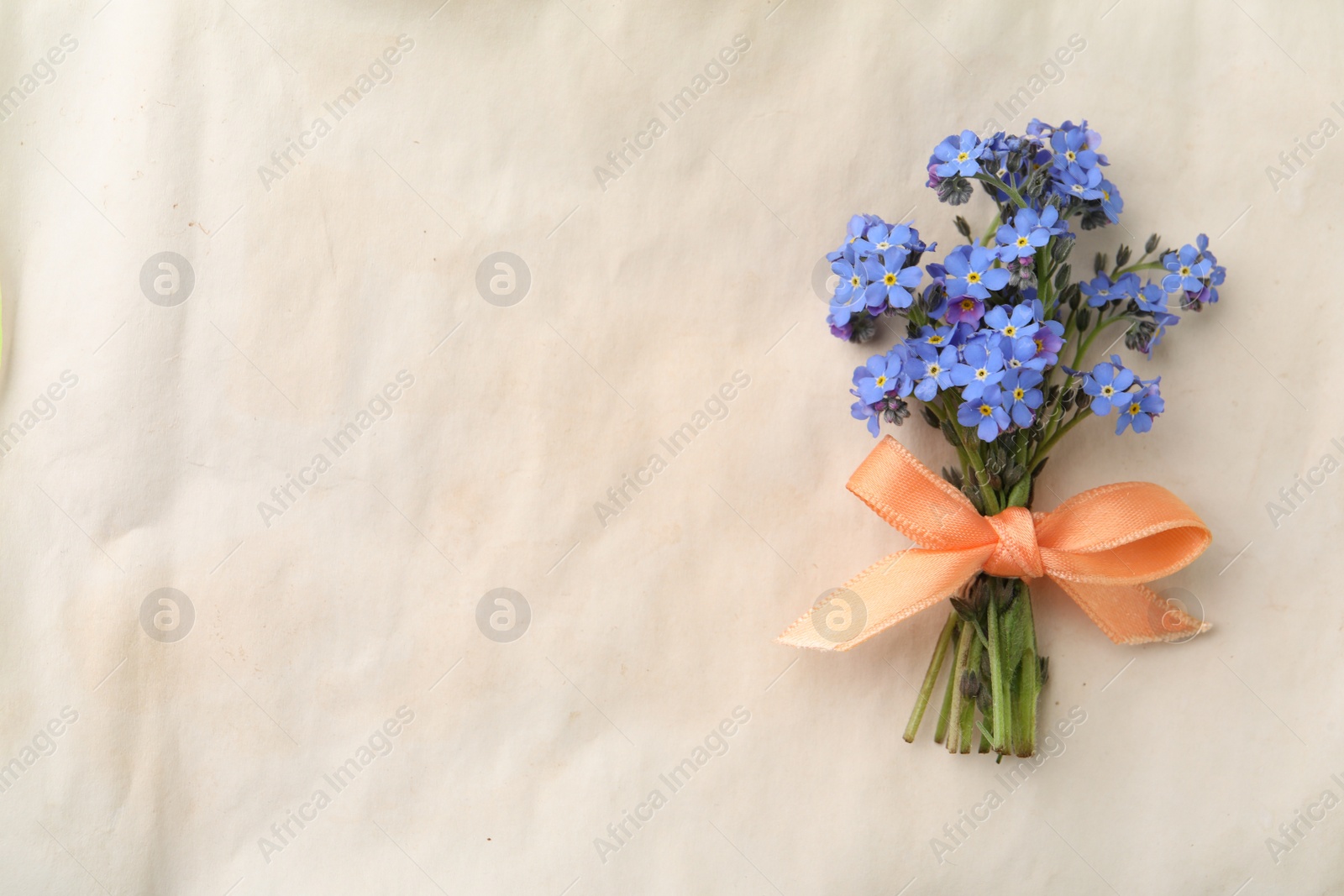 Photo of Beautiful blue forget-me-not flowers tied with ribbon on light background, top view. Space for text