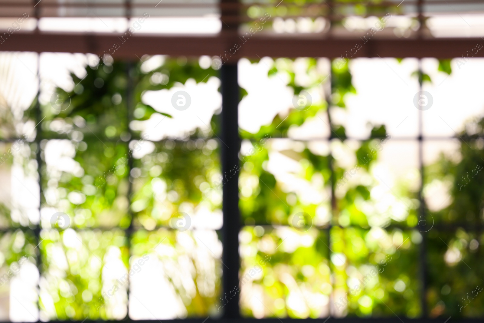 Photo of Blurred view through window on garden in morning