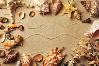 Photo of Frame made with different sea shells on sand, flat lay. Space for text