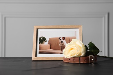 Photo of Frame with picture of dog, collar and rose on black table. Pet funeral