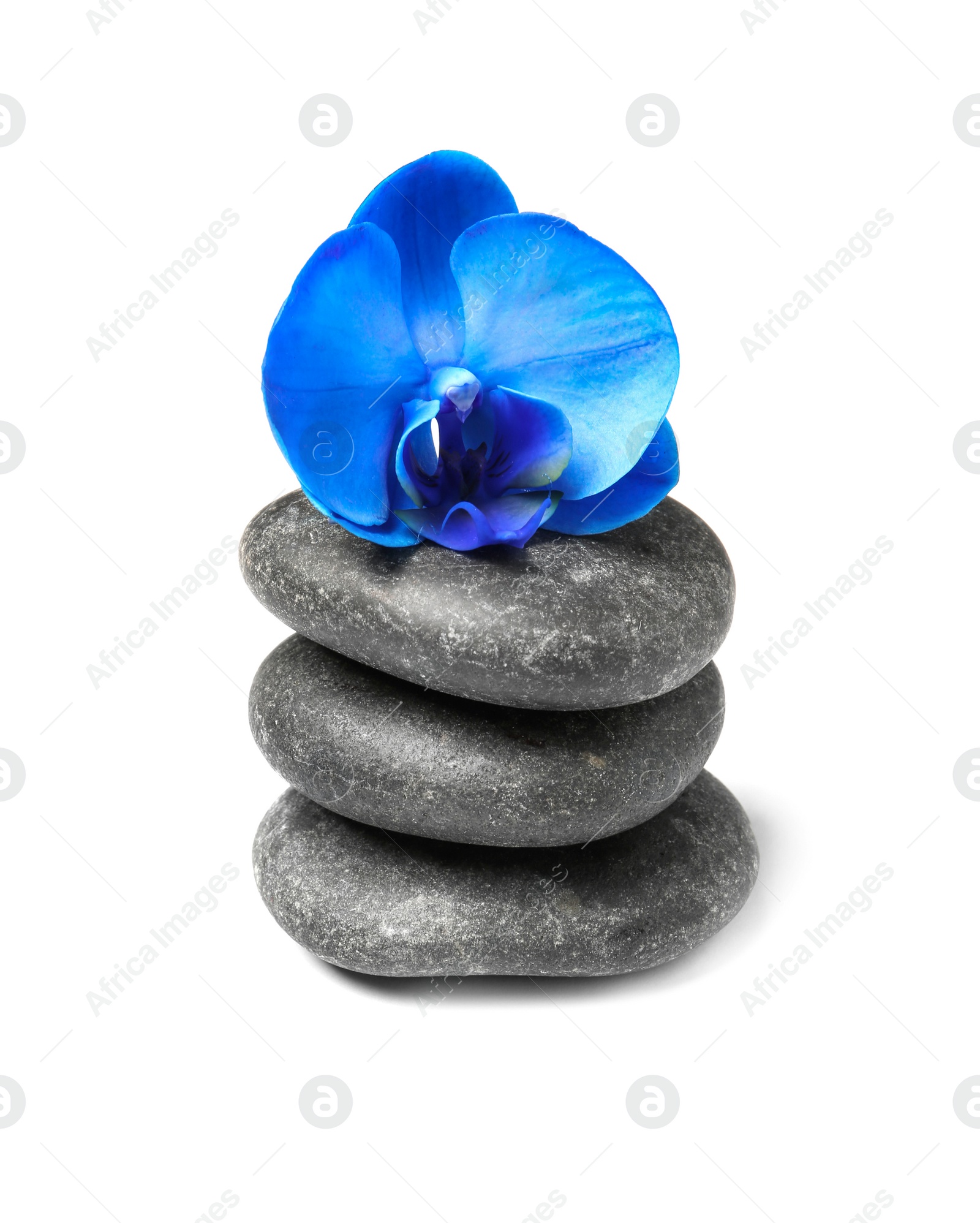 Photo of Spa stones with orchid flower on white background