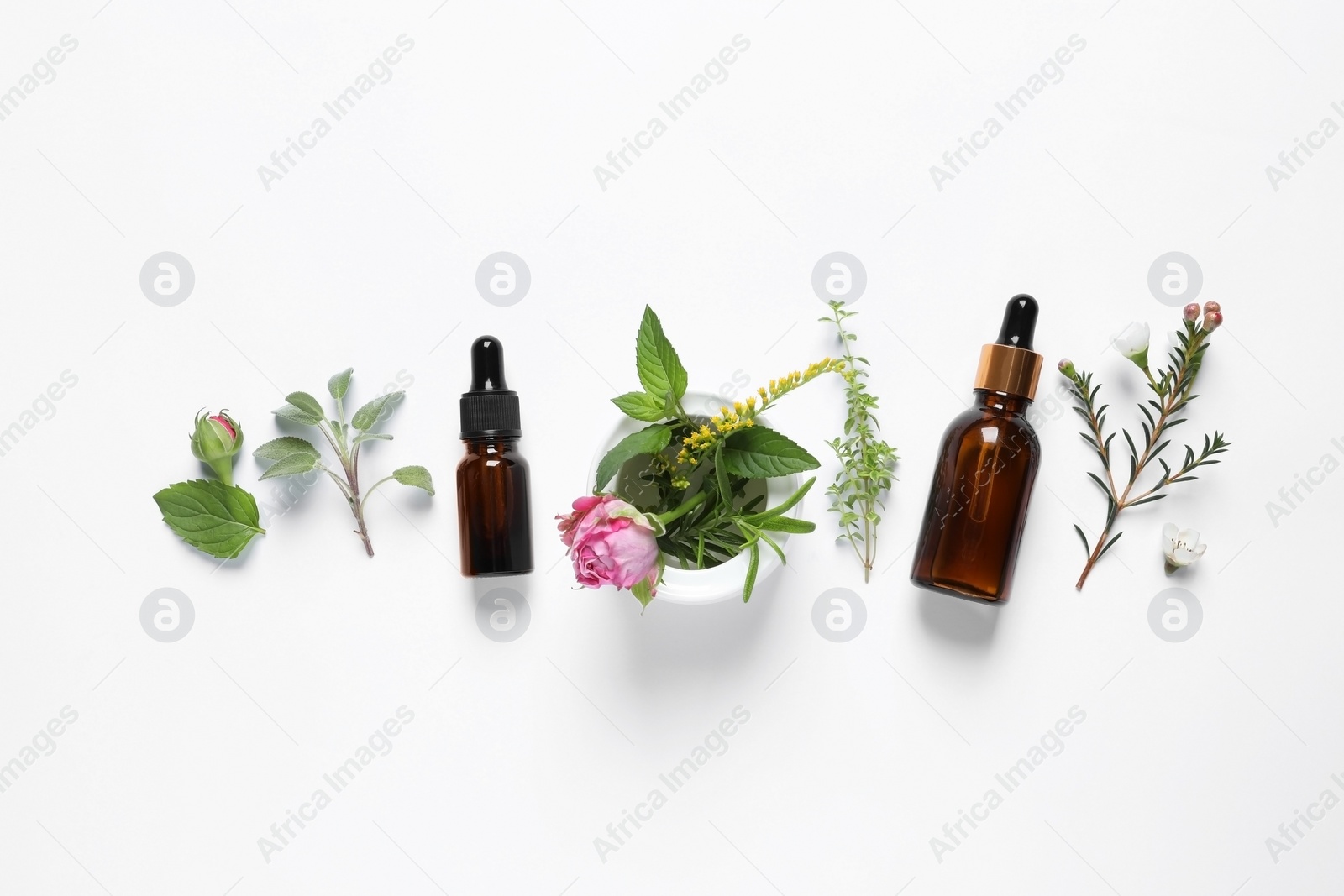 Photo of Bottles of essential oils, different herbs, rose flower and bud on white background, flat lay