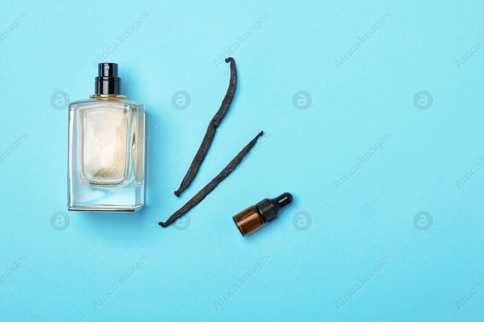 Photo of Bottles of perfume and vanilla pods on color background, top view