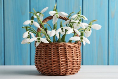 Photo of Beautiful snowdrops in wicker basket on white wooden table