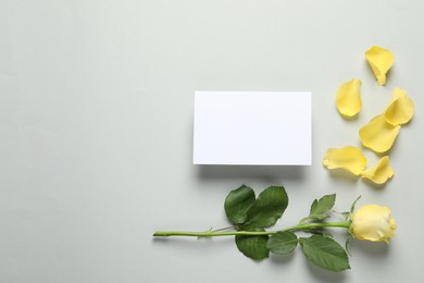 Beautiful yellow rose, petals and blank card on light grey background, flat lay. Space for text