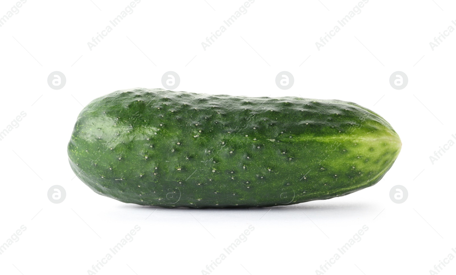 Photo of Fresh green cucumber on white background