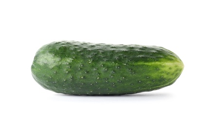 Photo of Fresh green cucumber on white background