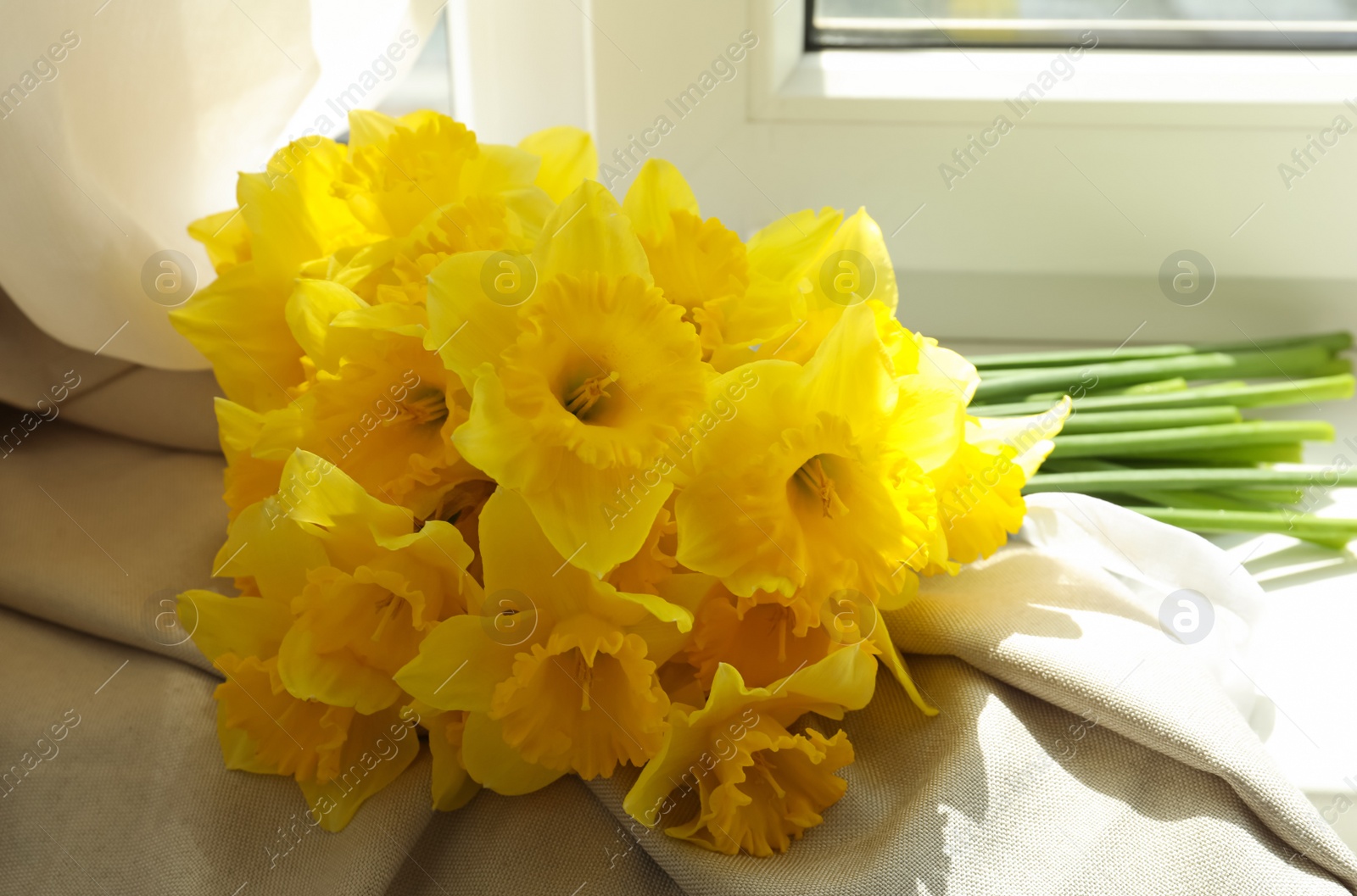Photo of Bouquet of beautiful daffodils on white windowsill