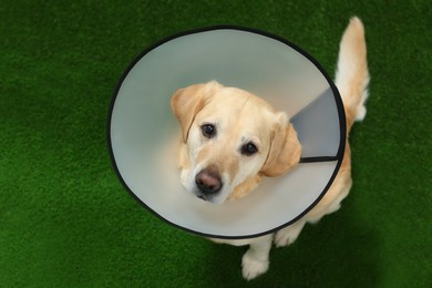 Photo of Cute Labrador Retriever with protective cone collar on green grass, above view