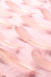 Beautiful feathers on light pink background, closeup