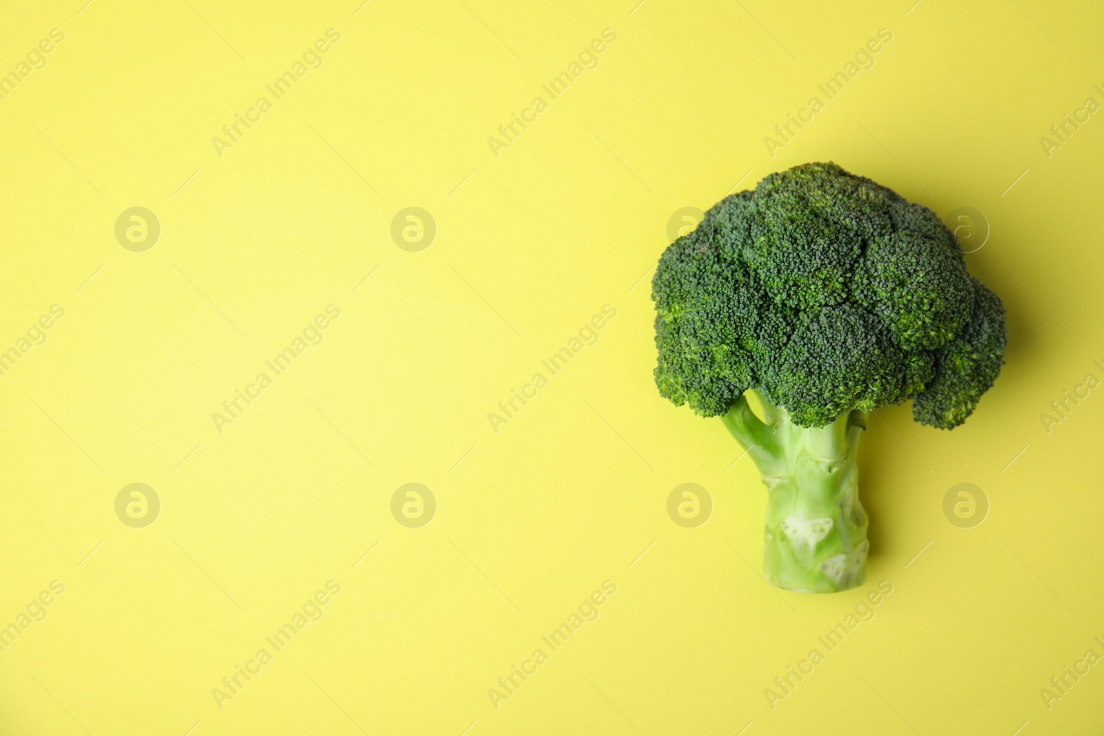 Photo of Fresh green broccoli on color background, top view. Space for text