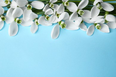 Beautiful snowdrops on light blue background, space for text