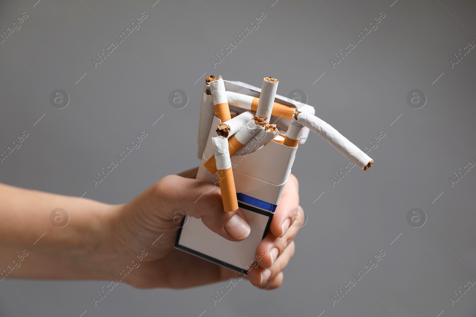 Photo of Stop smoking. Woman holding pack with broken cigarettes on grey background, closeup