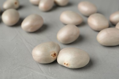 Fresh raw jackfruit seeds on grey table, closeup